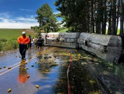 Bombeiros Voluntários de Tapejara / Divulgação
