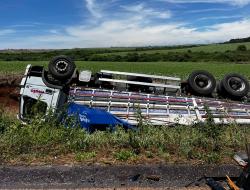 Bombeiros Voluntários de Tapejara / Divulgação