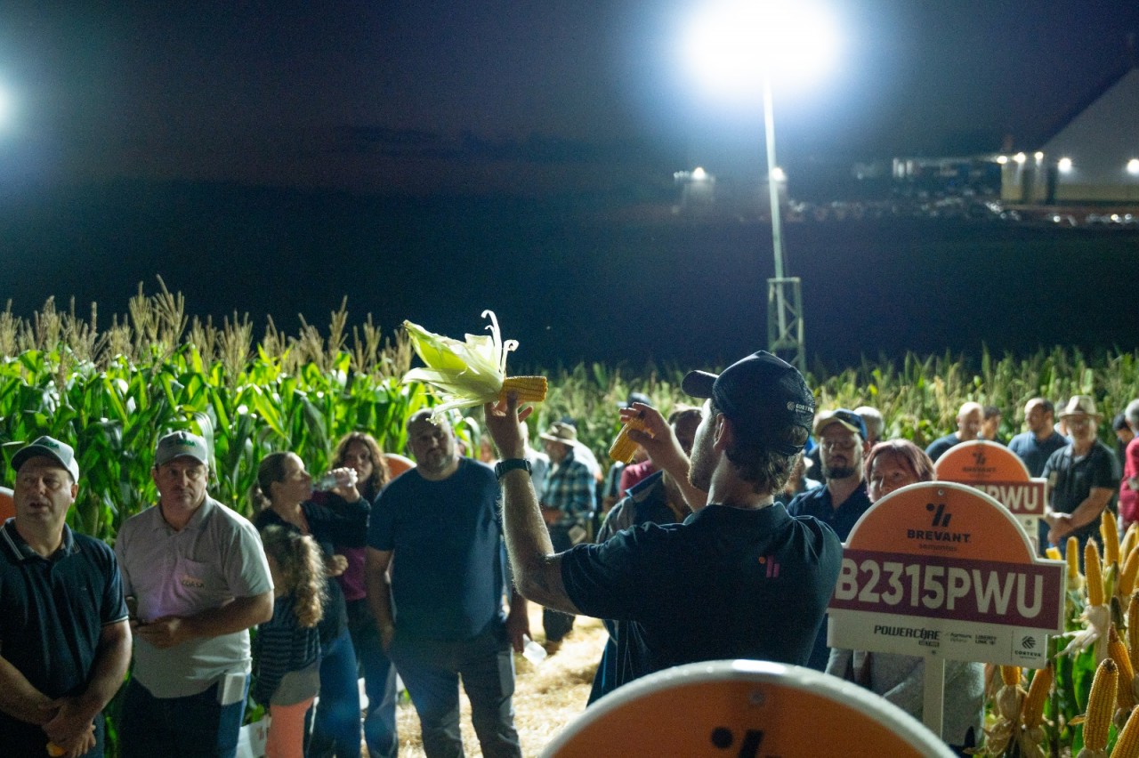 Noite de Campo da Coasa destaca tecnologias e manejo do milho