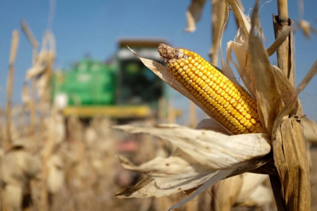 Cotações Agrícolas