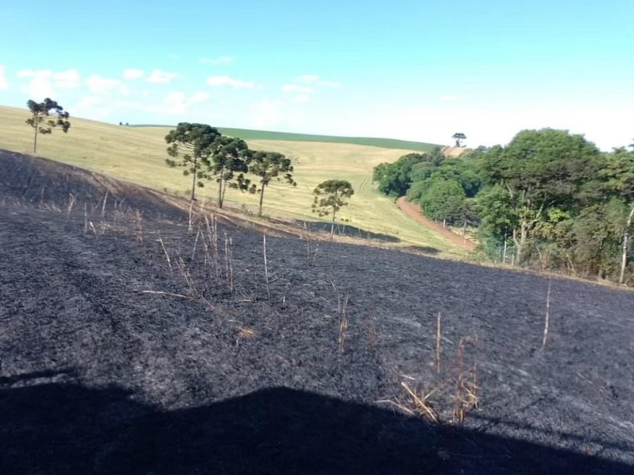 Lavoura pega fogo em Santo Expedito do Sul