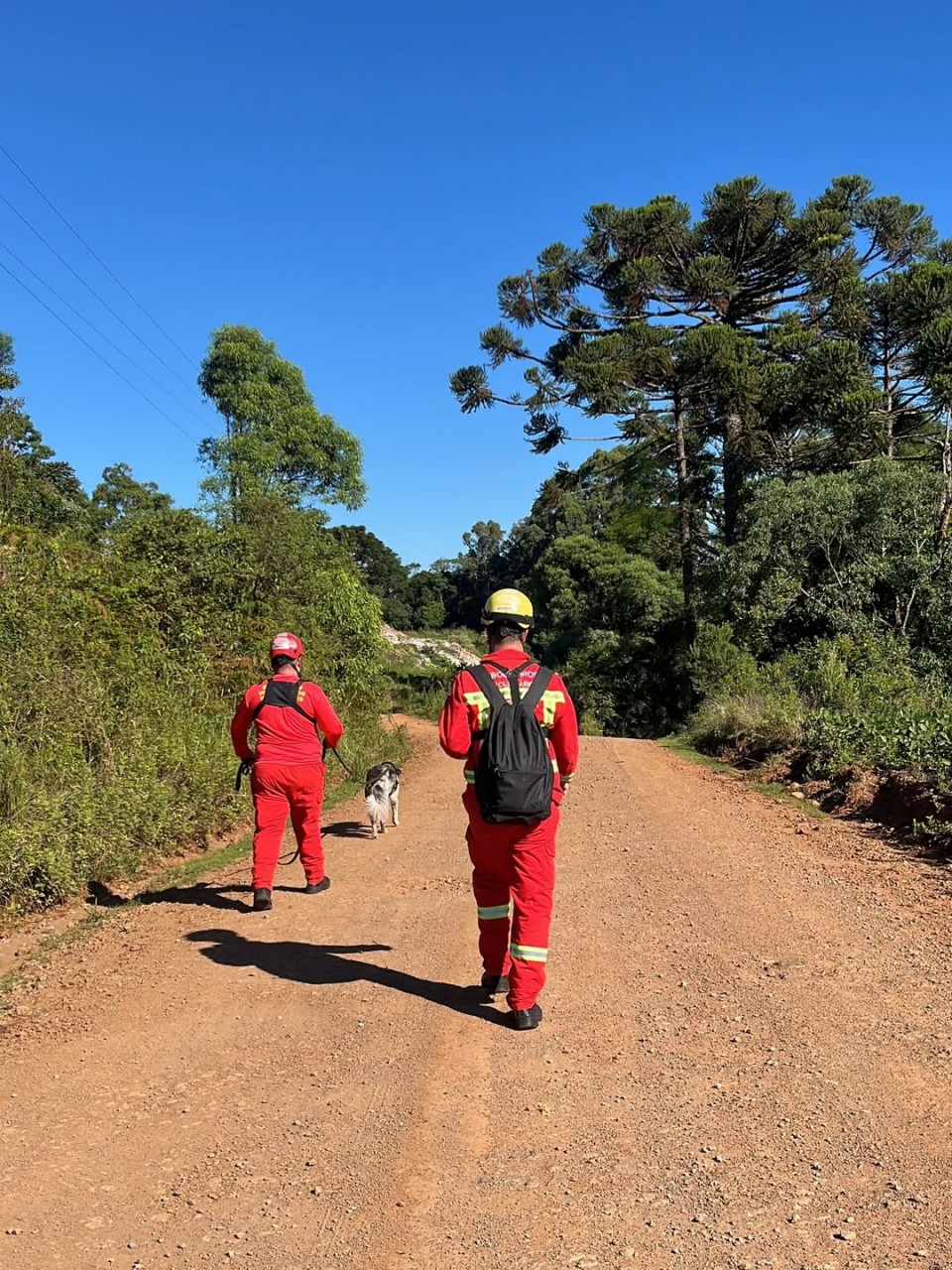 Com ajuda de cão farejador, Bombeiros Voluntários de Tapejara localizam morador desaparecido