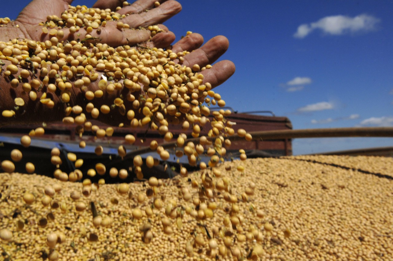 Cotações Agrícolas