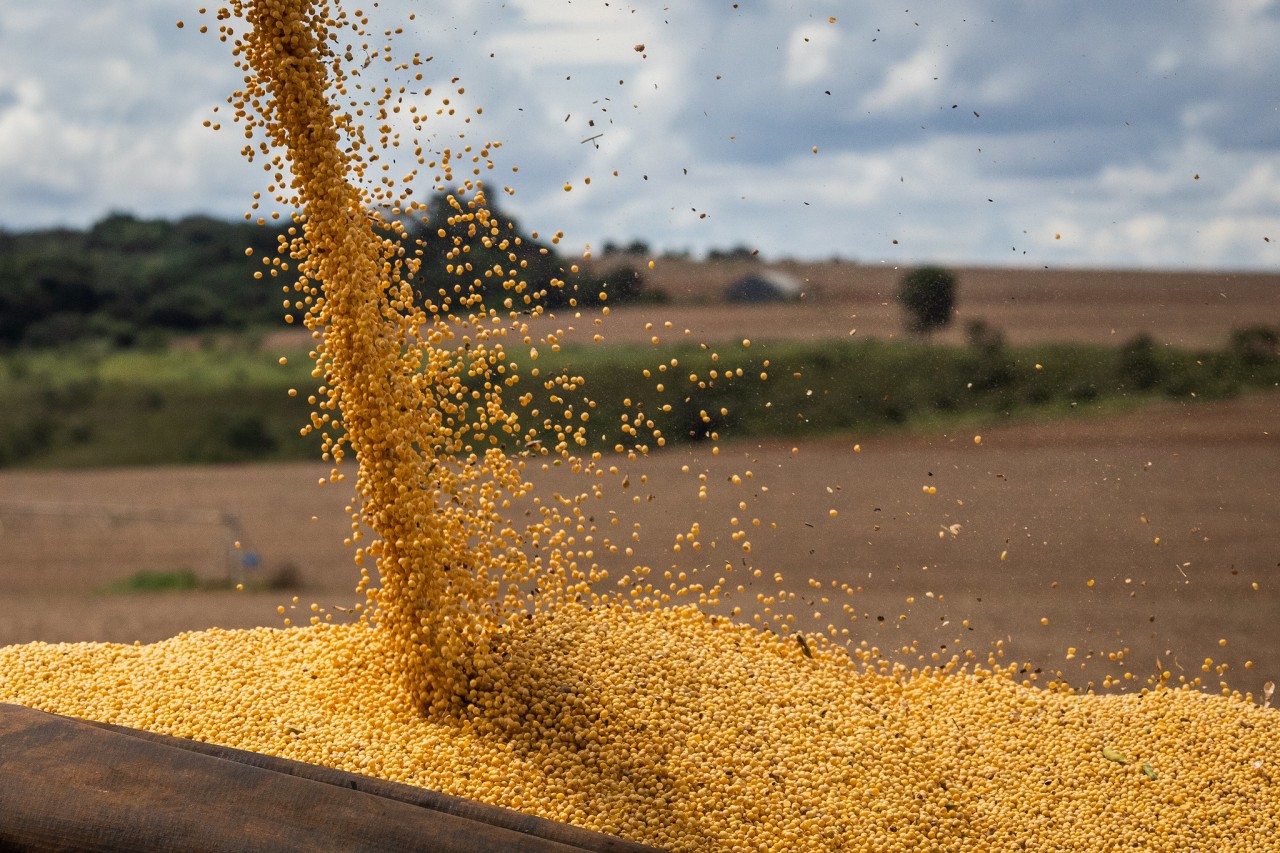 Cotações Agrícolas