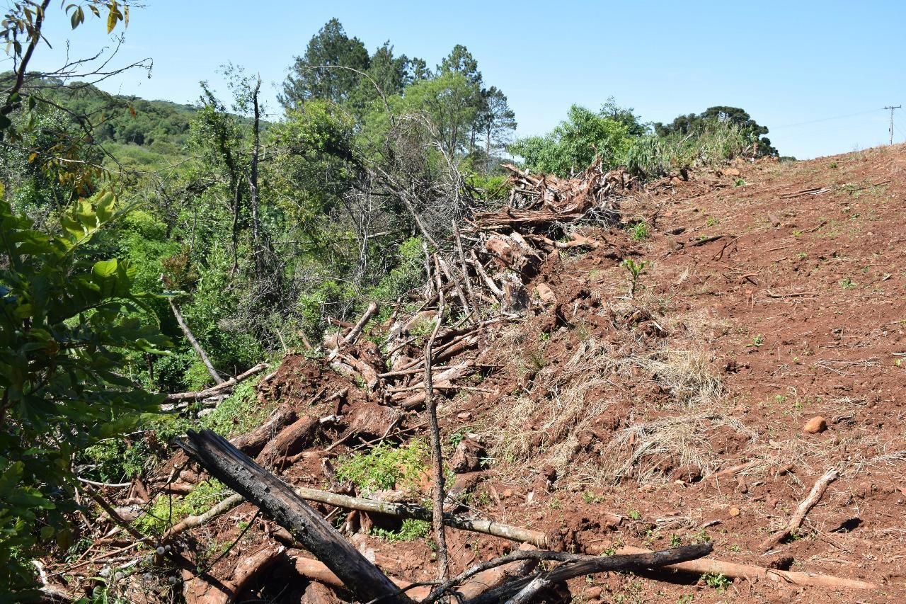 Desmatamento de 36 mil m² de vegetação é flagrado em Getúlio Vargas