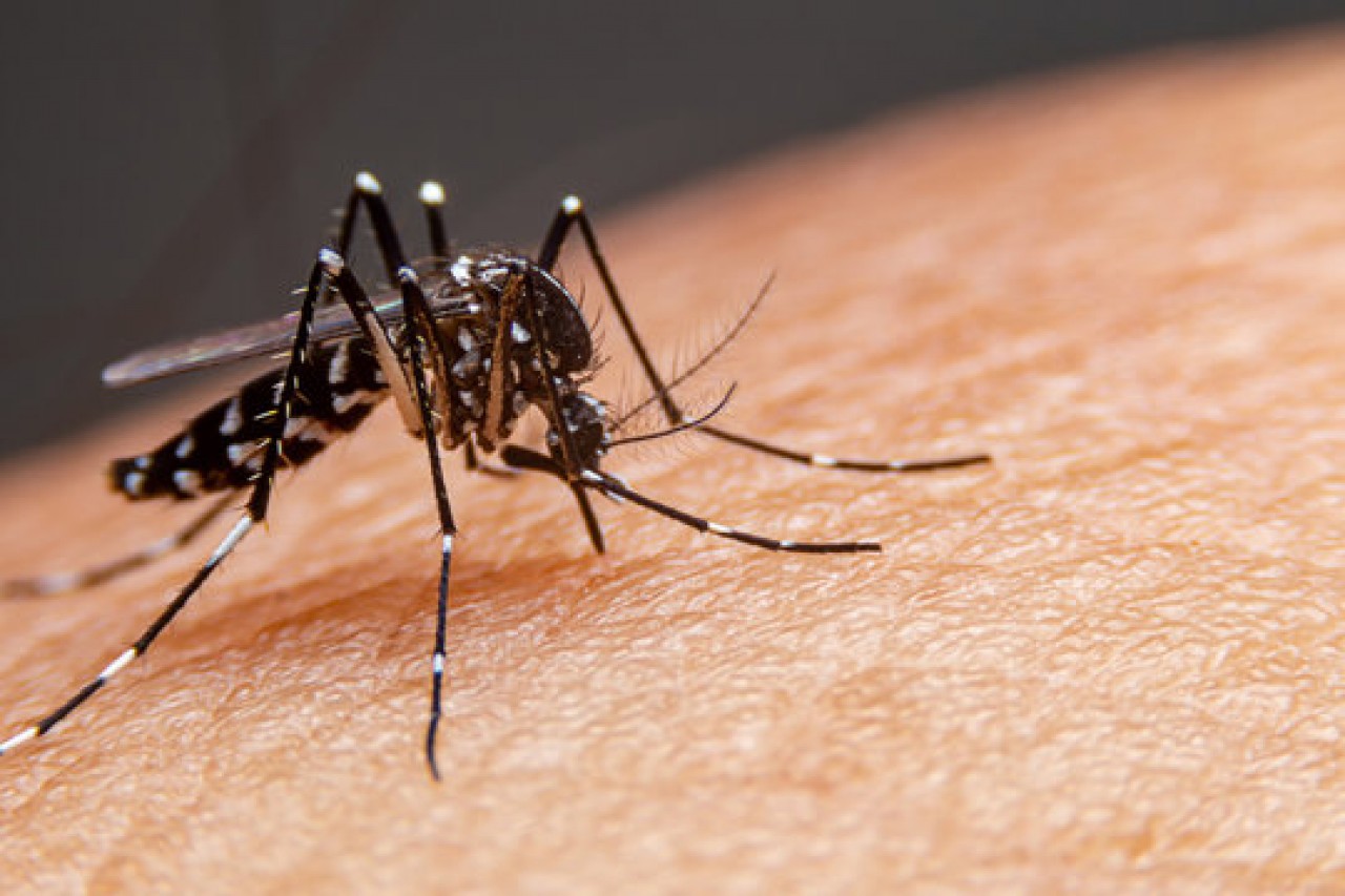 Ibiaçá confirma primeiro caso autóctone de dengue em 2024