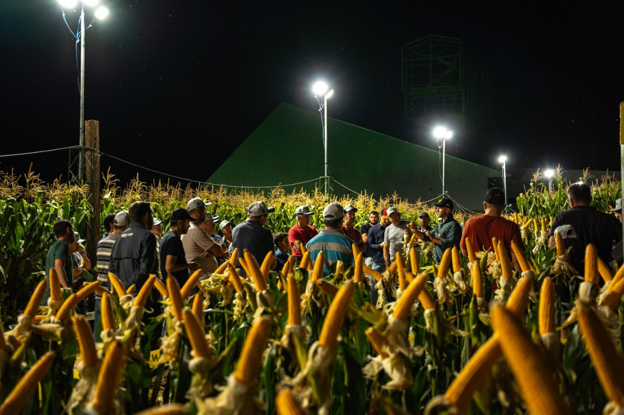 Coasa reunirá associados em Noite de Campo focada na safra do milho