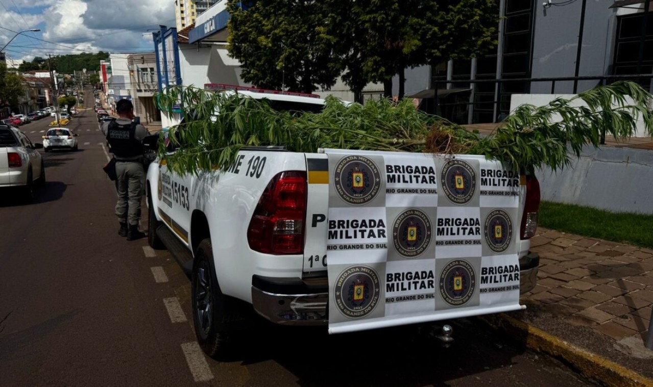 Mulher é presa por cultivo de maconha em Getúlio Vargas