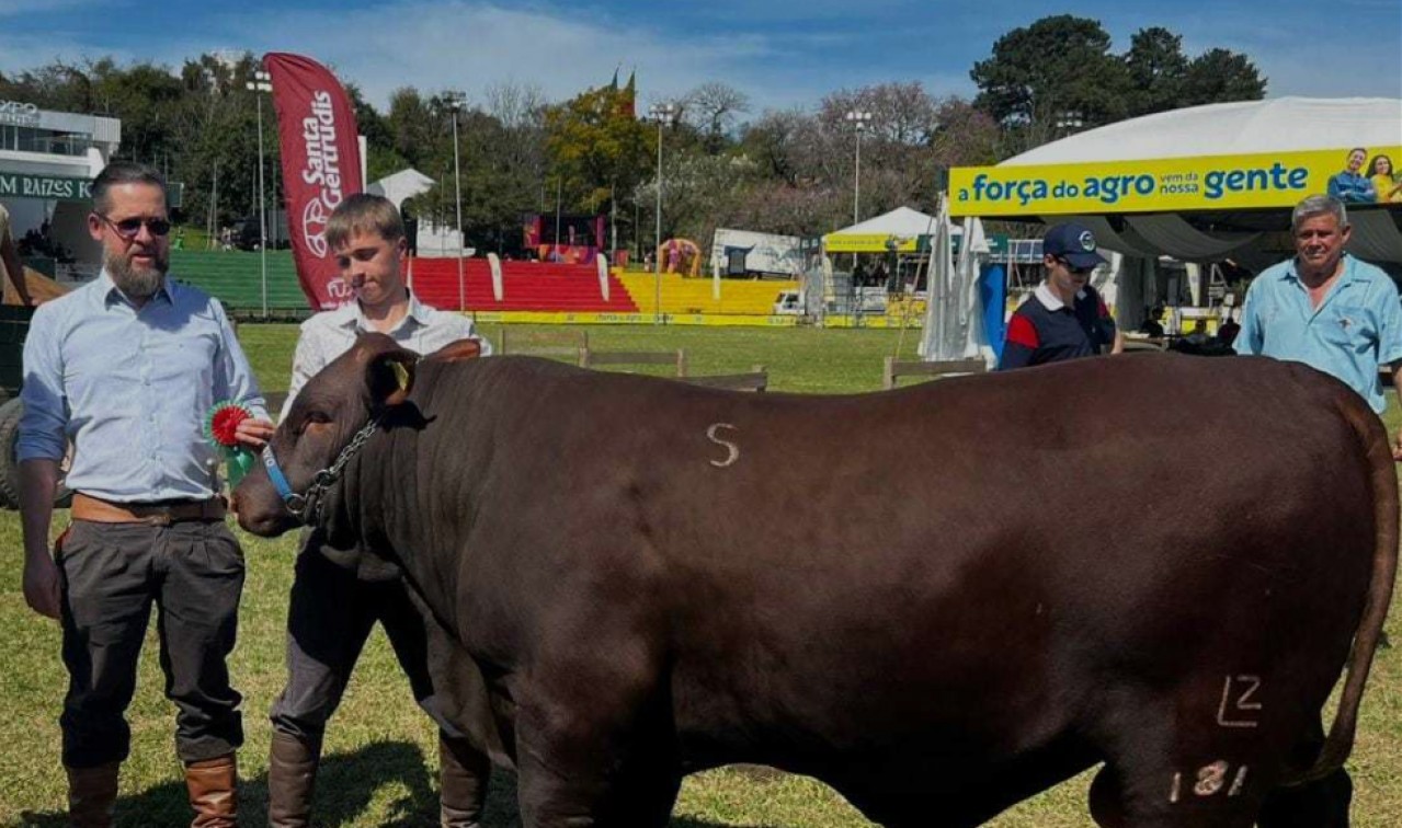Animais de São José do Ouro conquistam premiações na Expointer 2025