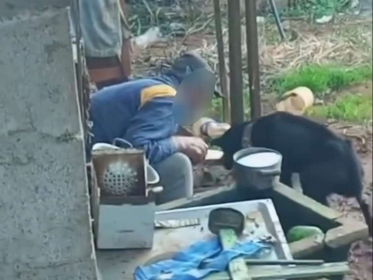 Homem é preso em flagrante por mutilar cachorro em Caseiros