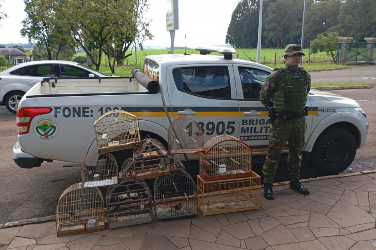 Brigada Militar resgata pássaros silvestres que estavam em cativeiro em Passo Fundo