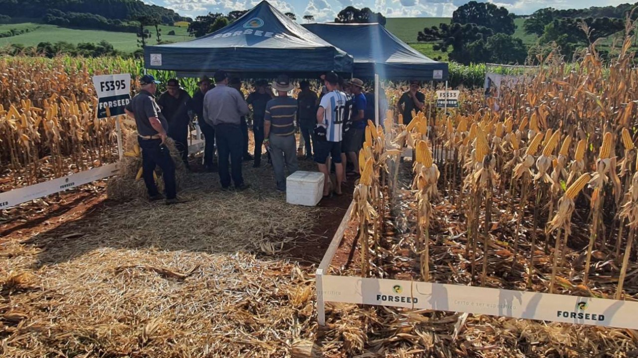 Coasa promove Noite de Campo de Milho na próxima quinta-feira