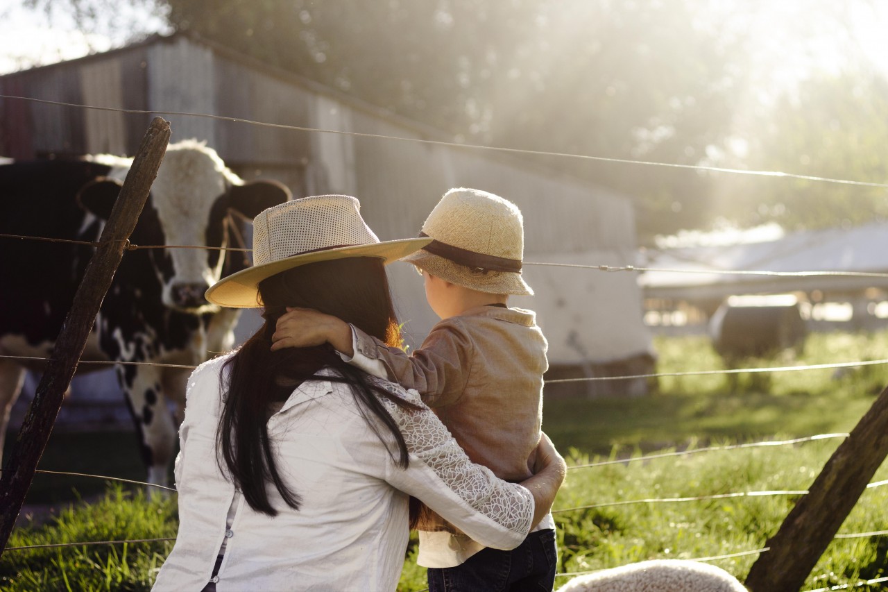 Curso de Turismo Rural está com inscrições abertas, em Tapejara