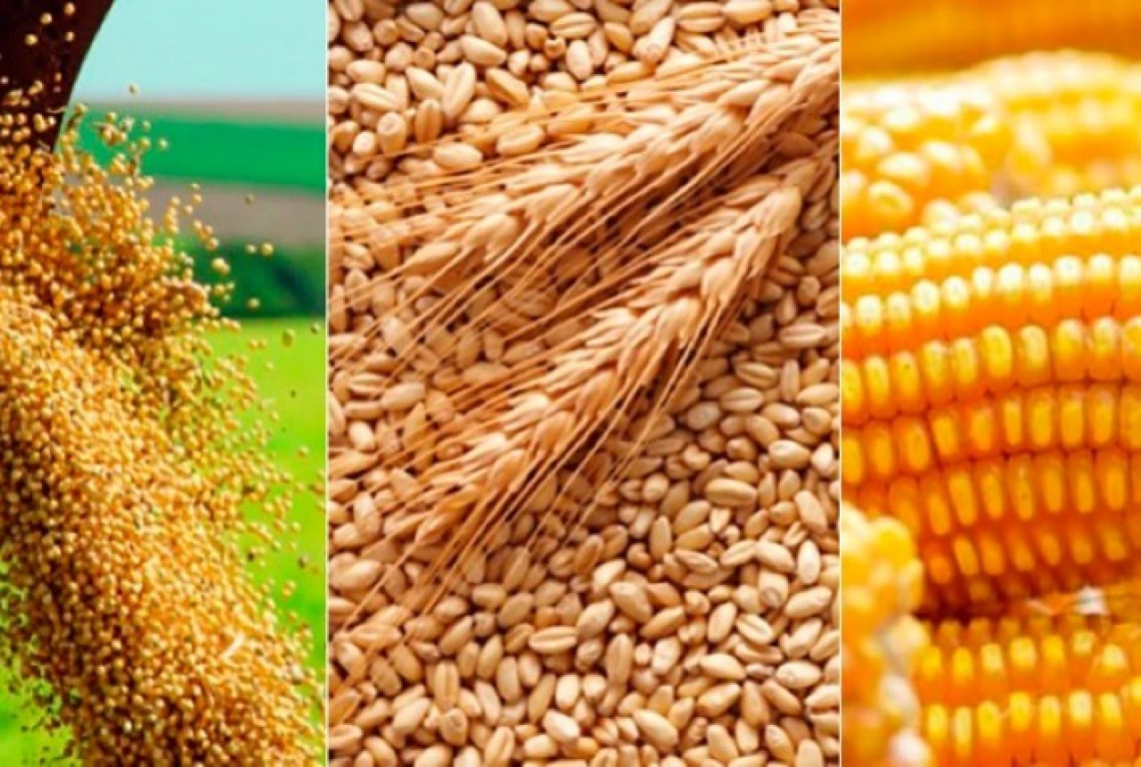 Cotações Agrícolas