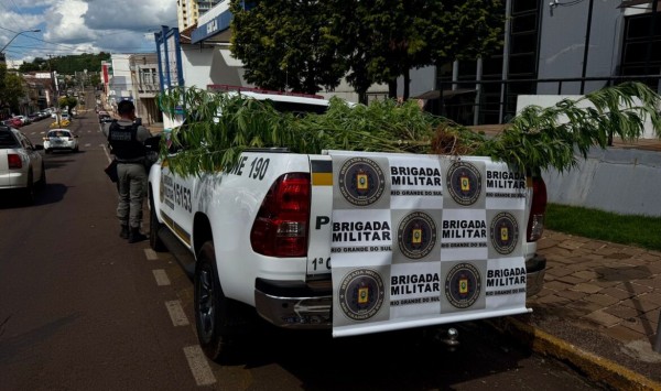 Mulher é presa por cultivo de maconha em Getúlio Vargas